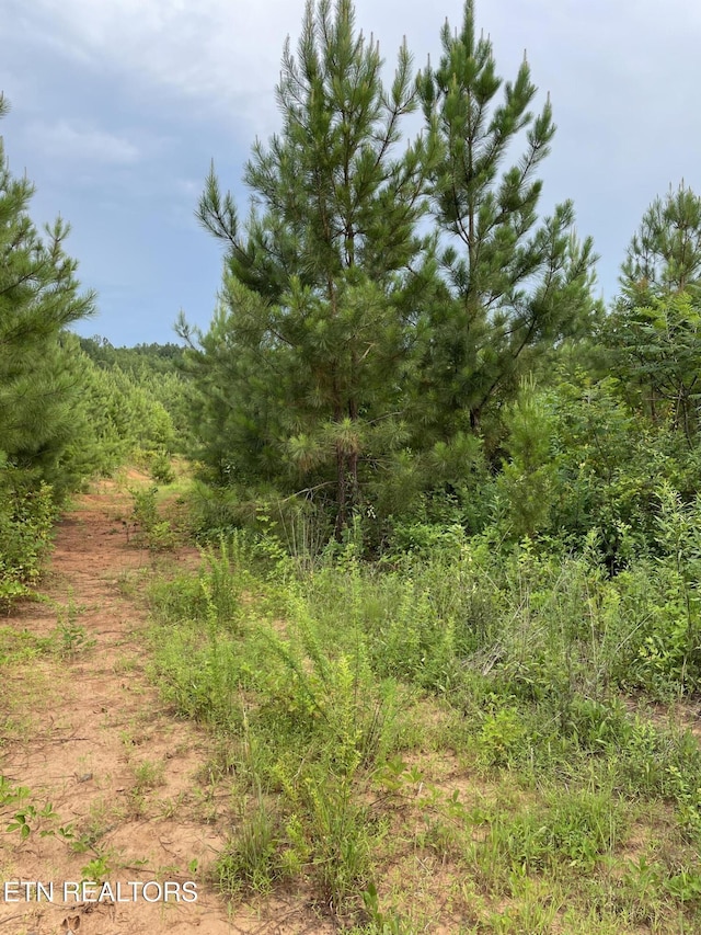 LOT51 Three Point Rd, Vonore, TN 37885 - photo 6