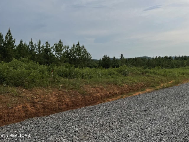 LOT51 Three Point Rd, Vonore, TN 37885 - photo 3