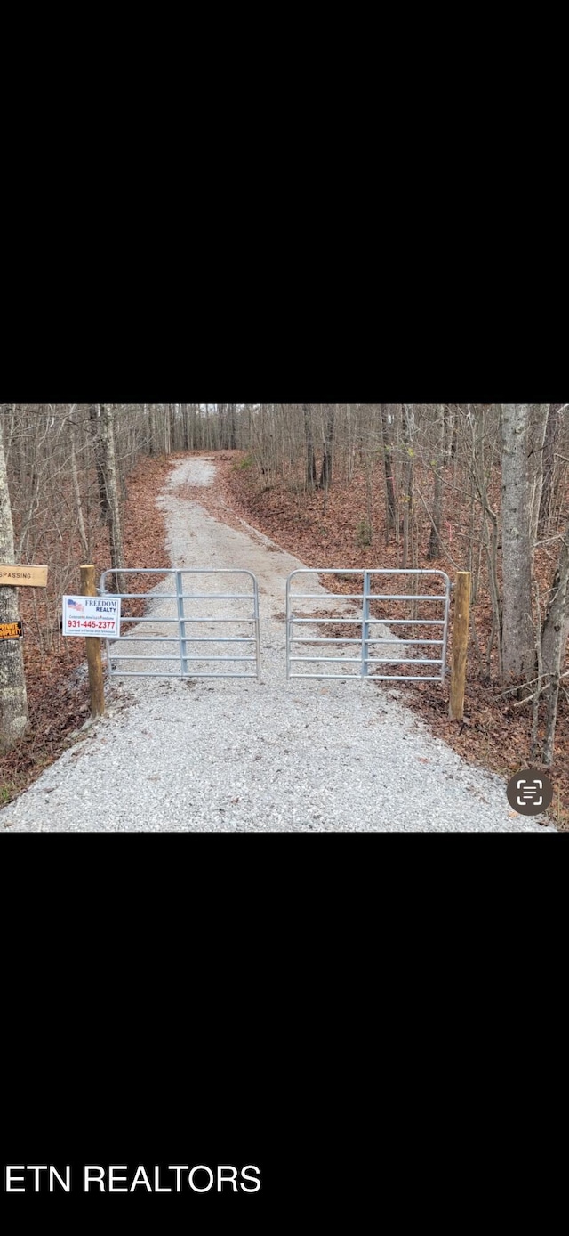 Big Piney Loop, Wilder, TN 38589