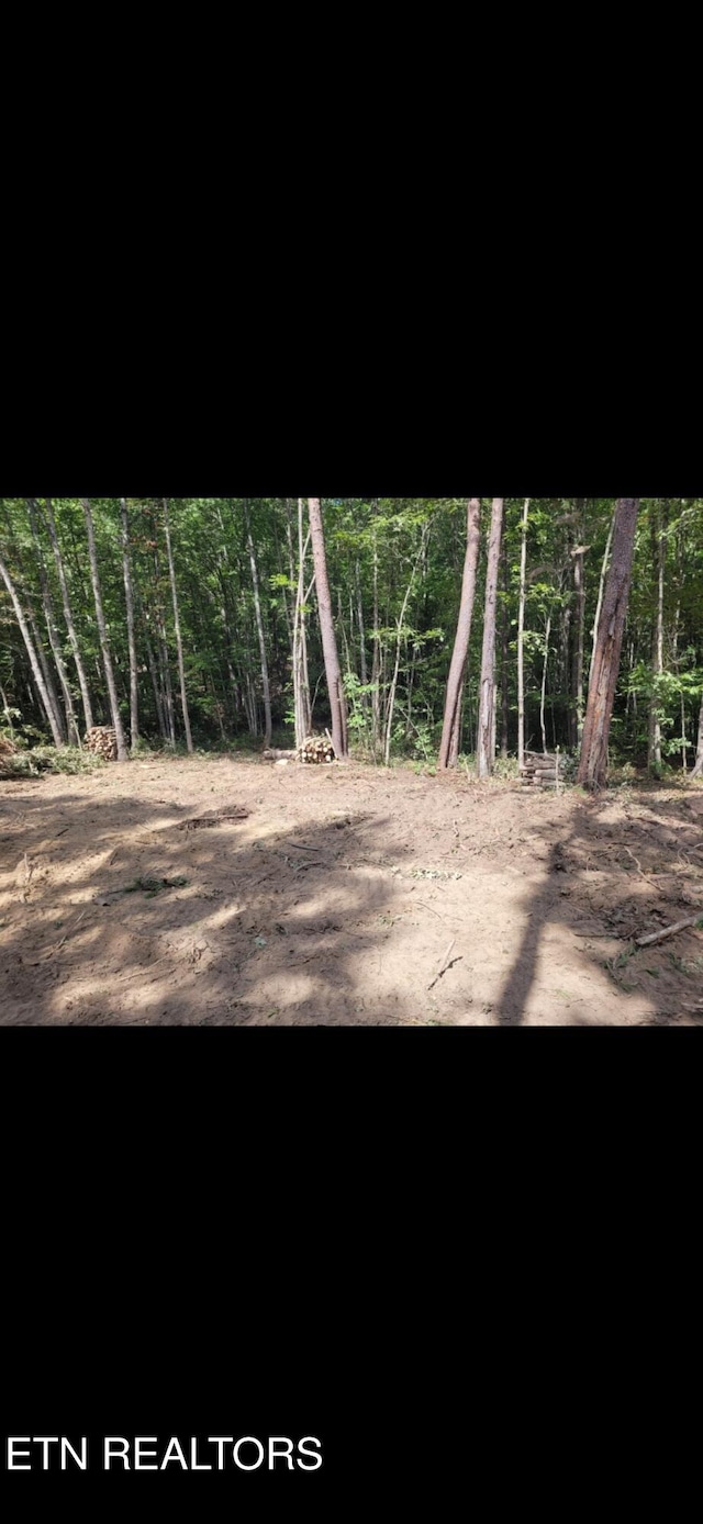 Big Piney Loop, Wilder, TN 38589