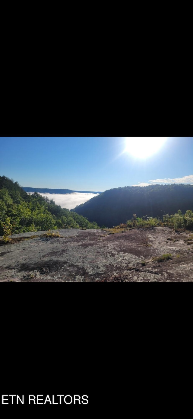 Big Piney Loop, Wilder, TN 38589