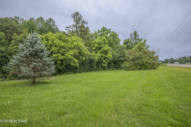 9404 Maynardville Pike, Maynardville, TN 37807 - photo 40