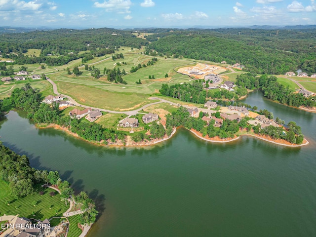 1556 Bower Ct, Lenoir City, TN 37772 - photo 8