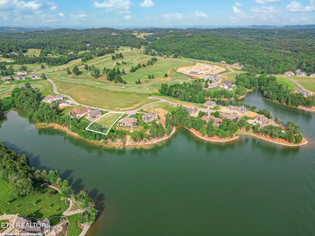 1556 Bower Ct, Lenoir City, TN 37772 - photo 9