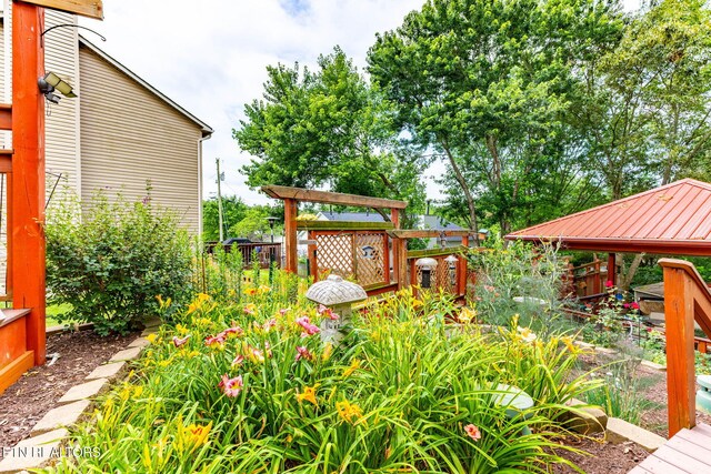 1807 Poplar Hill Rd, Knoxville, TN 37922 - photo 9