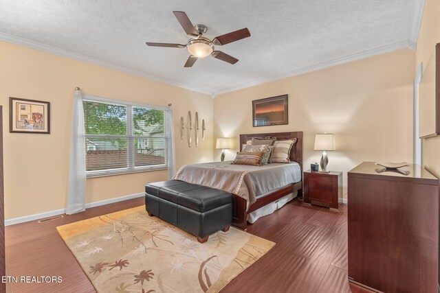 1807 Poplar Hill Rd, Knoxville, TN 37922 - photo 43
