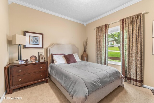 1807 Poplar Hill Rd, Knoxville, TN 37922 - photo 54