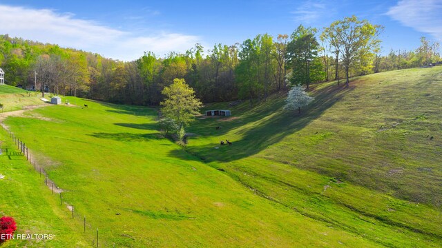 Mac Ivey Ln, Lafollette, TN 37766 - photo 2