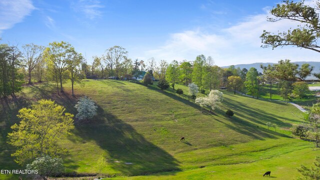 Mac Ivey Ln, Lafollette, TN 37766 - photo 3