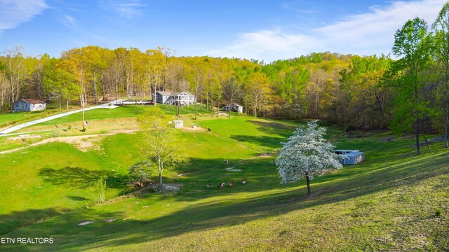 Mac Ivey Ln, Lafollette, TN 37766 - photo 4