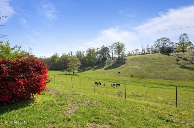 Mac Ivey Ln, Lafollette, TN 37766 - photo 5