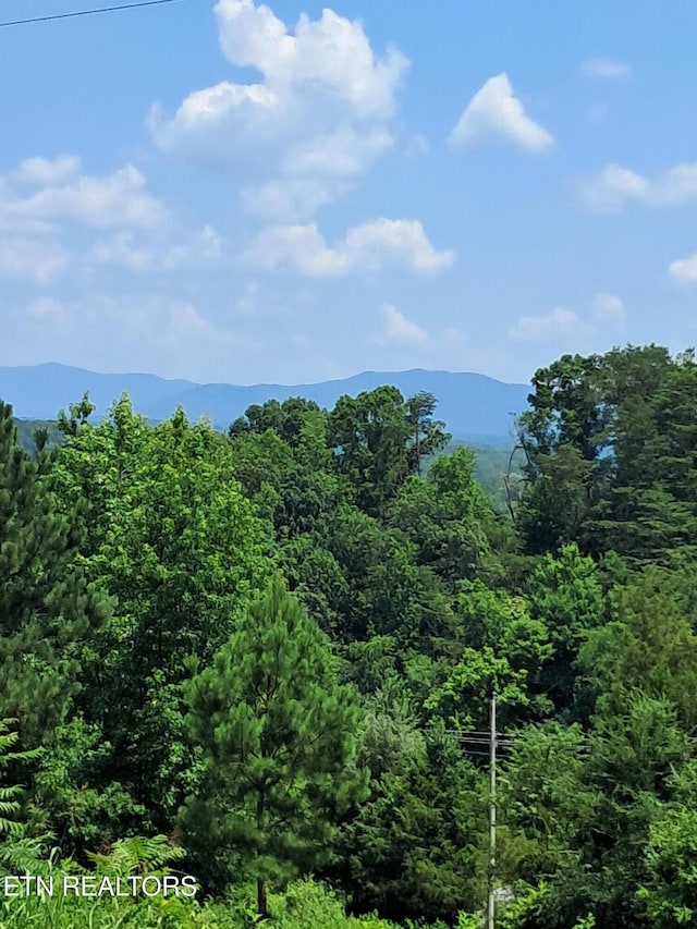 530 Deer Run Way, Newport, TN 37821 - photo 2