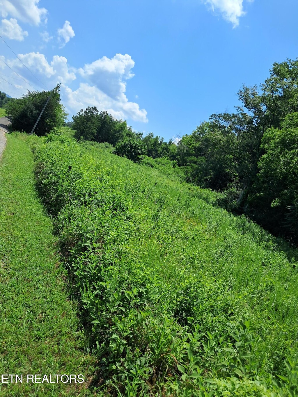 530 Deer Run Way, Newport, TN 37821 - photo 3