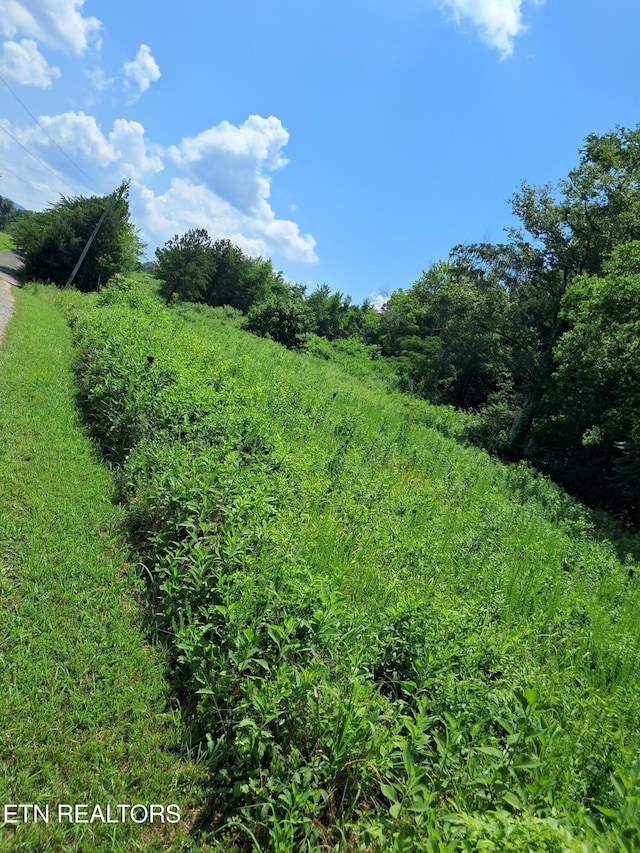 530 Deer Run Way, Newport, TN 37821 - photo 3