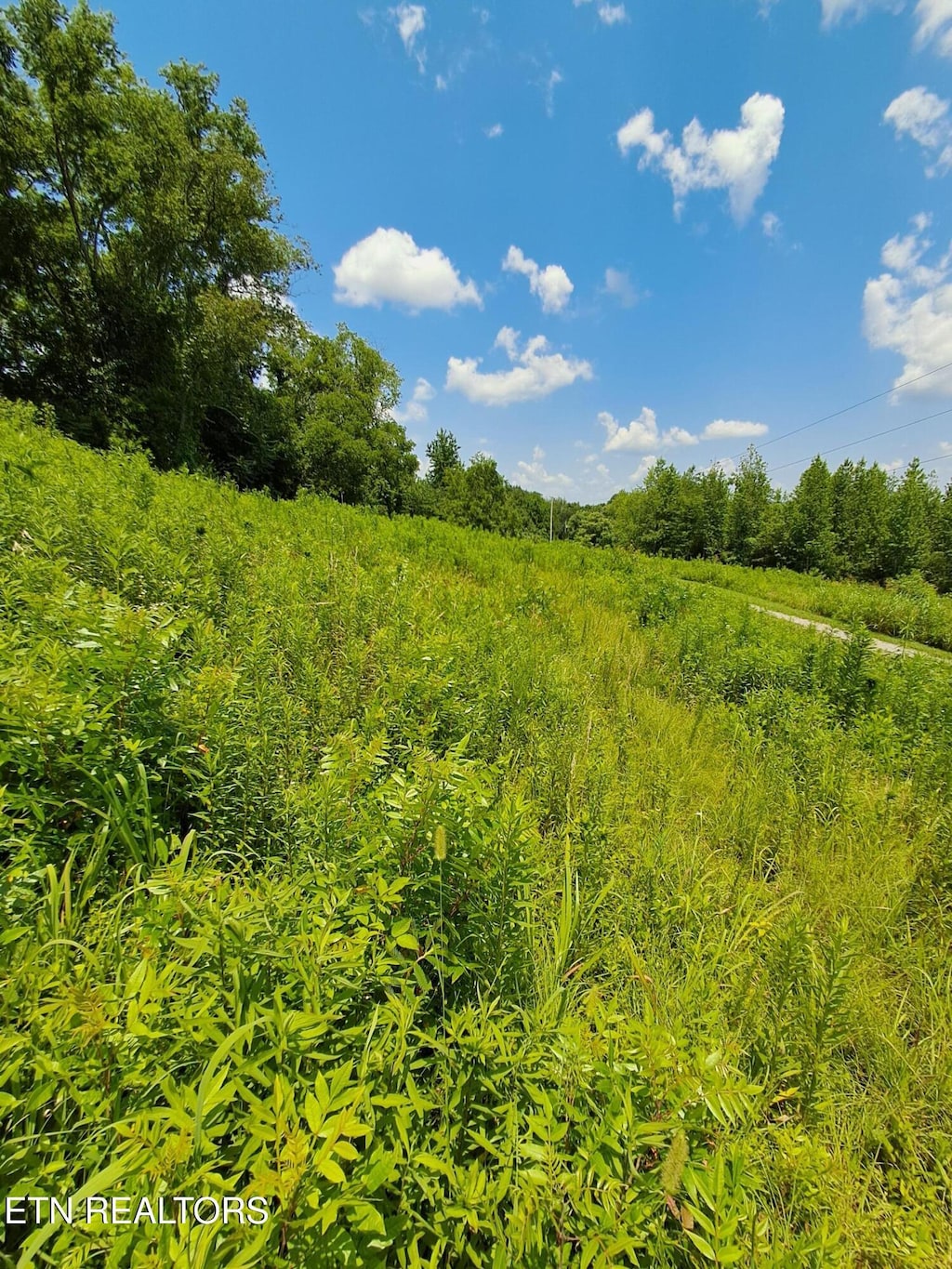 530 Deer Run Way, Newport, TN 37821 - photo 4