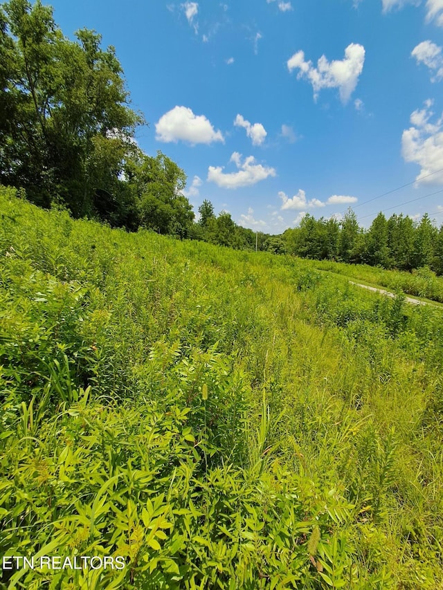 530 Deer Run Way, Newport, TN 37821 - photo 4