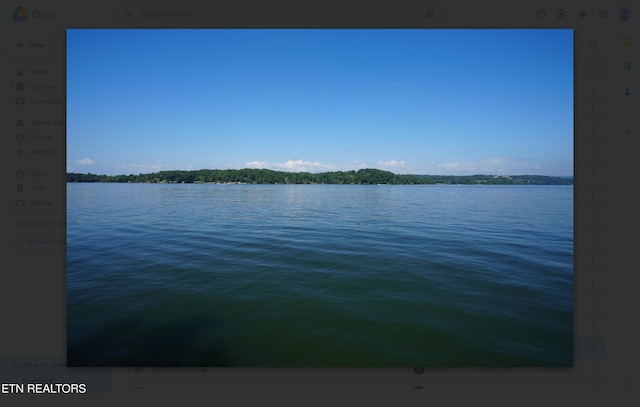 301 Chickamauga Pt, Ten Mile, TN 37880 - photo 28