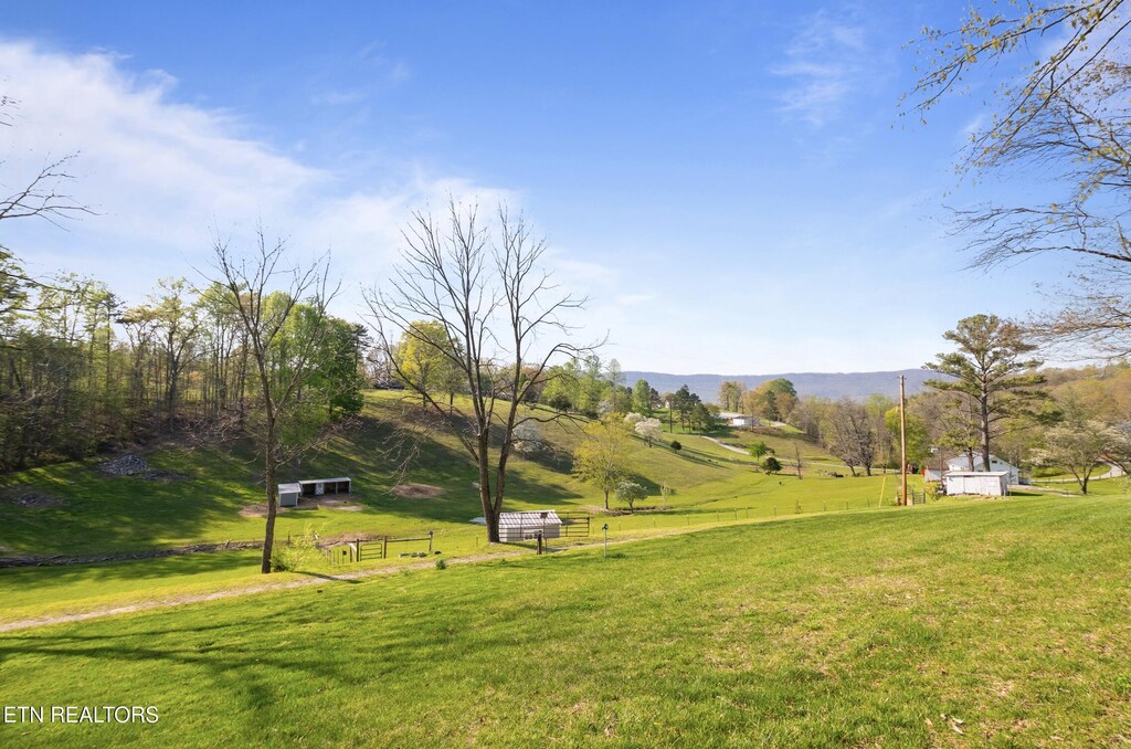 Mac Ivey Ln, Lafollette, TN 37766