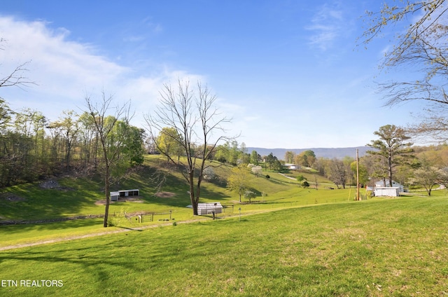 Mac Ivey Ln, Lafollette, TN 37766