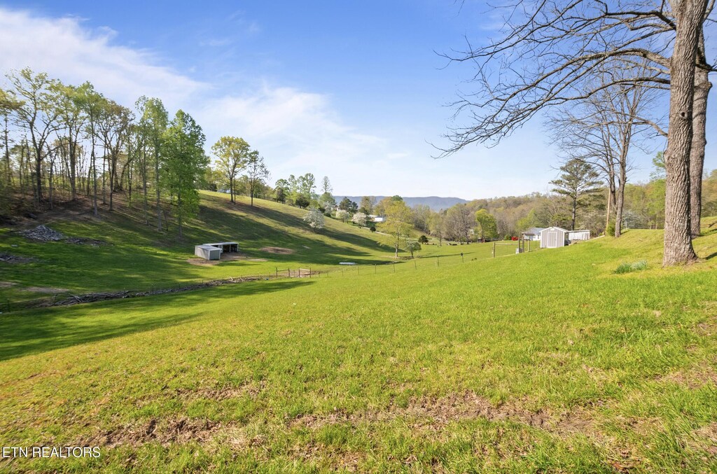 Mac Ivey Ln, Lafollette, TN 37766