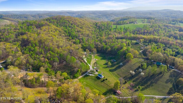 234 Mac Ivey Ln, Lafollette, TN 37766 - photo 25