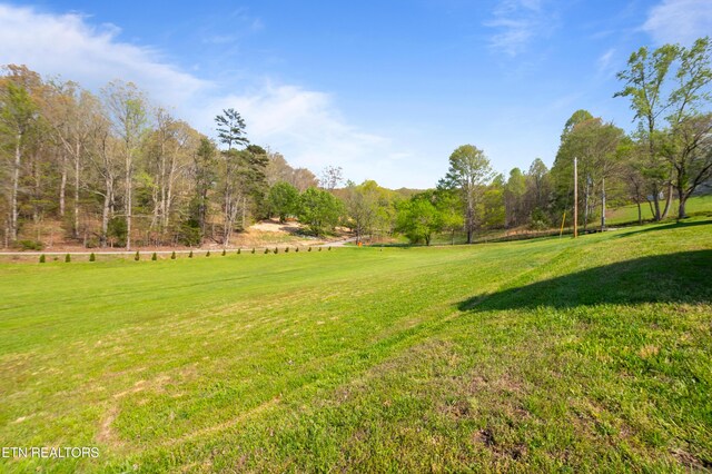 234 Mac Ivey Ln, Lafollette, TN 37766 - photo 23