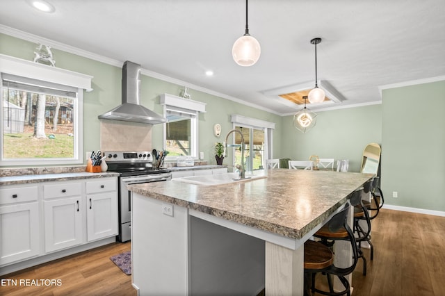 238 Mac Ivey Ln, Lafollette, TN 37766 - kitchen featuring stainless steel electric range oven, wall chimney exhaust hood, a breakfast bar area, healthy amount of natural light, and crown molding
