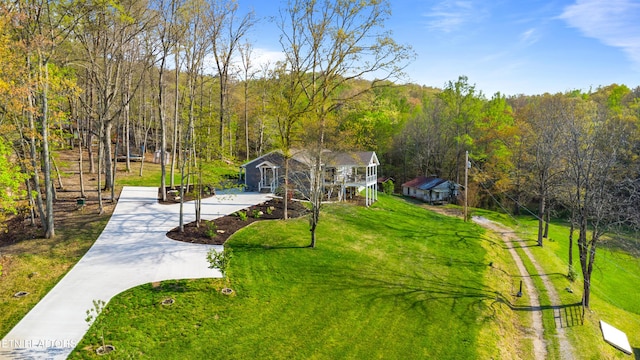 238 Mac Ivey Ln, Lafollette, TN 37766 - view of home's community with driveway, a view of trees, and a lawn
