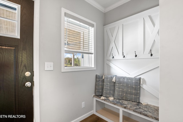 238 Mac Ivey Ln, Lafollette, TN 37766 - mudroom featuring crown molding and dark wood-type flooring