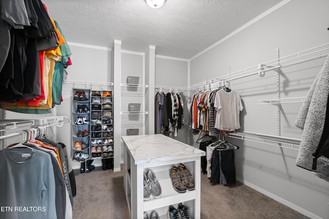 238 Mac Ivey Ln, Lafollette, TN 37766 - spacious closet featuring carpet
