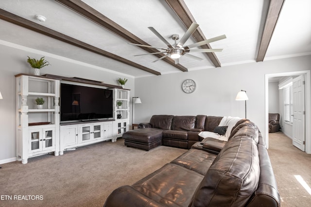 238 Mac Ivey Ln, Lafollette, TN 37766 - living area with carpet, beamed ceiling, ceiling fan, and ornamental molding