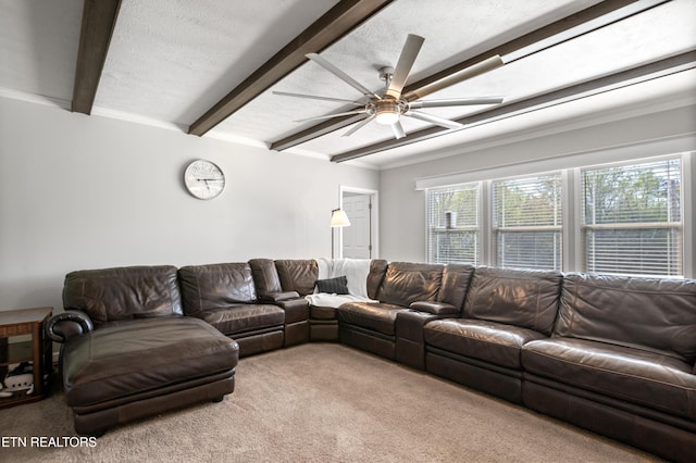 238 Mac Ivey Ln, Lafollette, TN 37766 - carpeted living area with beam ceiling and ceiling fan