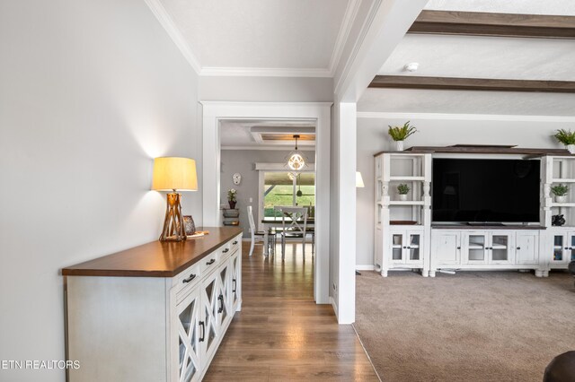 238 Mac Ivey Ln, Lafollette, TN 37766 - living room featuring ornamental molding, wood finished floors, and carpet
