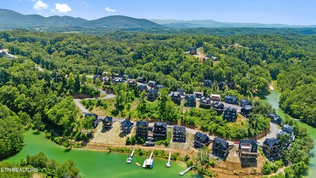 1371 Lake Haven Way, Sevierville, TN 37876 - photo 15