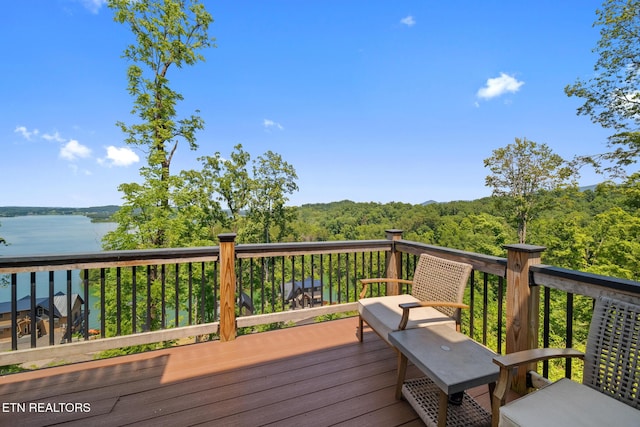 1371 Lake Haven Way, Sevierville, TN 37876 - photo 12