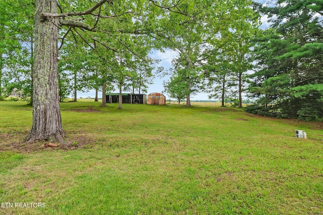 164 George Young Rd, Jamestown, TN 38556 - photo 29