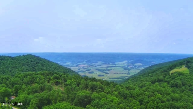 1591 Big Ridge Rd, Spring City, TN 37381 - view of mountain backdrop with a heavily wooded area