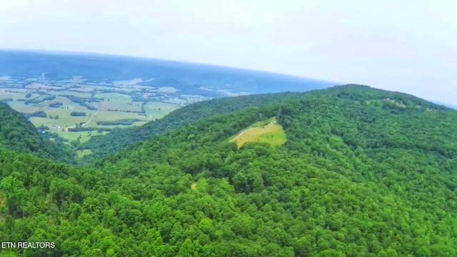 1591 Big Ridge Rd, Spring City, TN 37381 - view of mountain background
