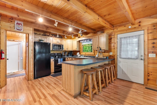 2217 Red Bud Rd, Sevierville, TN 37876 - kitchen featuring black appliances, rail lighting, light wood finished floors, dark countertops, and a peninsula