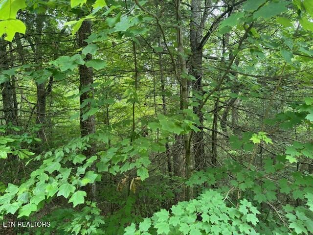 2808 Grist Mill Ln, Sevierville, TN 37862