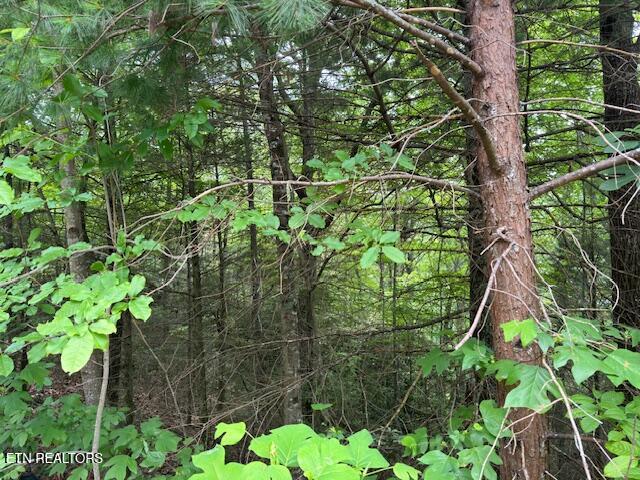 2808 Grist Mill Ln, Sevierville, TN 37862