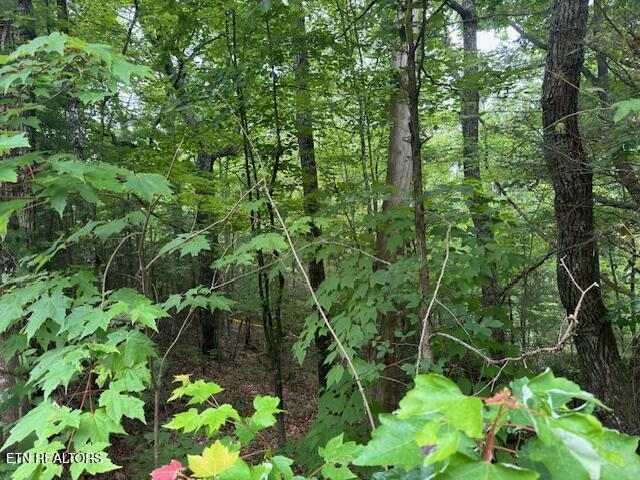 2808 Grist Mill Ln, Sevierville, TN 37862