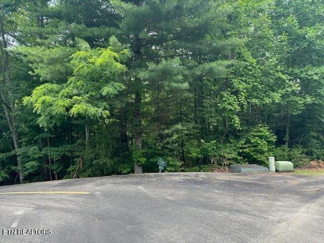 2808 Grist Mill Ln, Sevierville, TN 37862