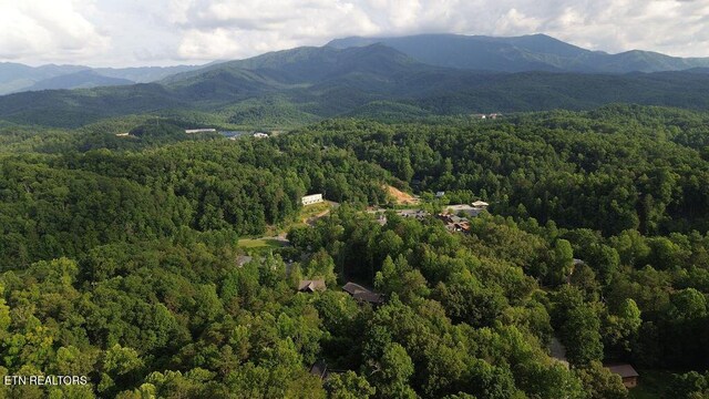 764 W Highland Dr, Gatlinburg, TN 37738 - photo 7