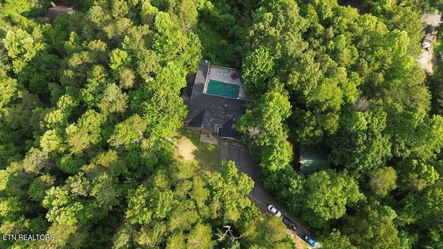 764 W Highland Dr, Gatlinburg, TN 37738 - photo 44