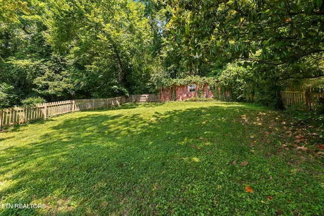 5259 Mcintyre Rd, Knoxville, TN 37914 - photo 22