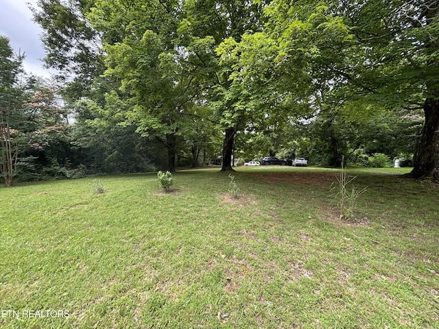 0 NE Eldridge Rd, Knoxville, TN 37918 - photo 2