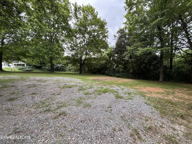 0 NE Eldridge Rd, Knoxville, TN 37918 - photo 6