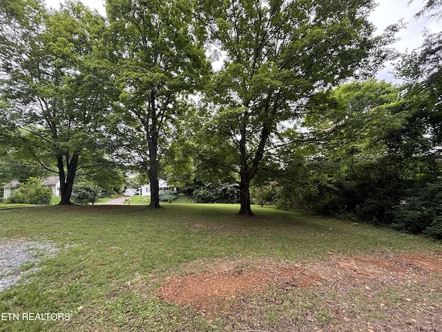 0 NE Eldridge Rd, Knoxville, TN 37918 - photo 7