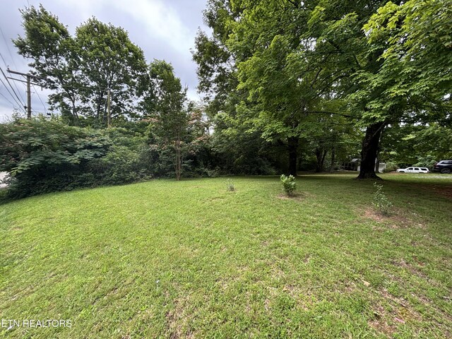0 NE Eldridge Rd, Knoxville, TN 37918 - photo 9